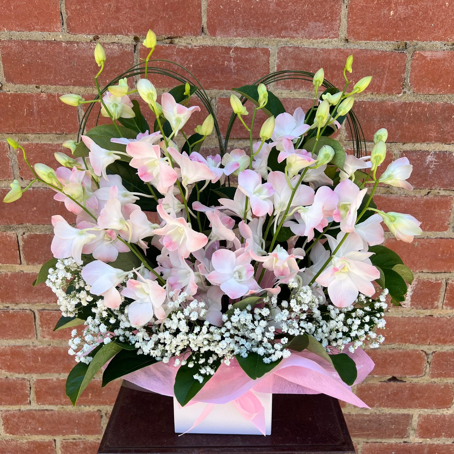 Orchids in Heart (Champagne)