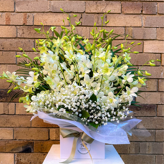 Elegant White Orchid Box