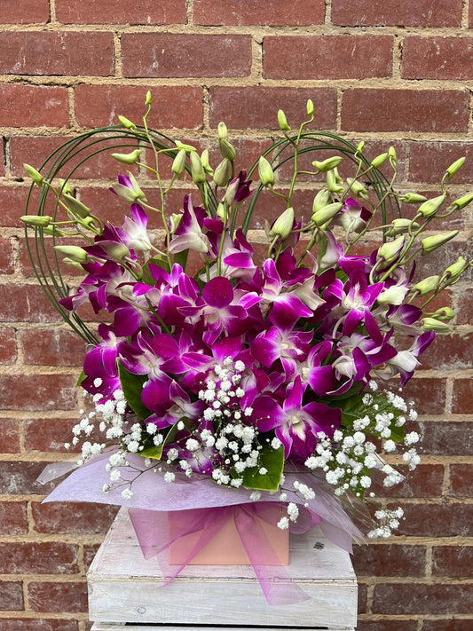 Orchids in Heart (Purple)