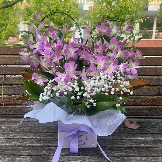 Orchids in Heart(Soft Lavenda)