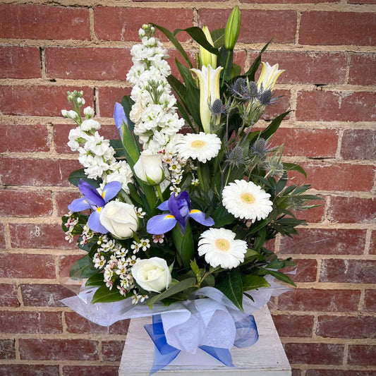 Blue/White Box Arrangement