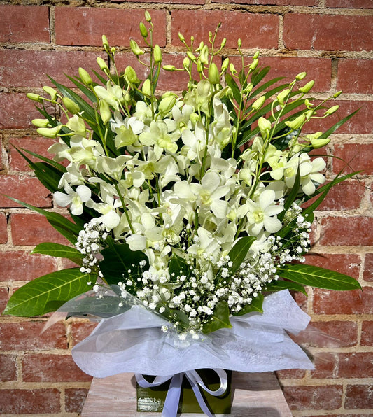 Elegant White Orchid Box