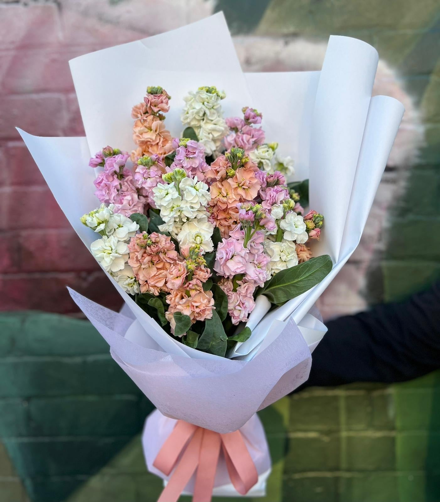 Heavenly Scented Stocks Flowers