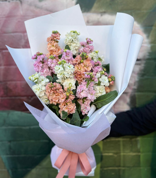 Heavenly Scented Stocks Flowers