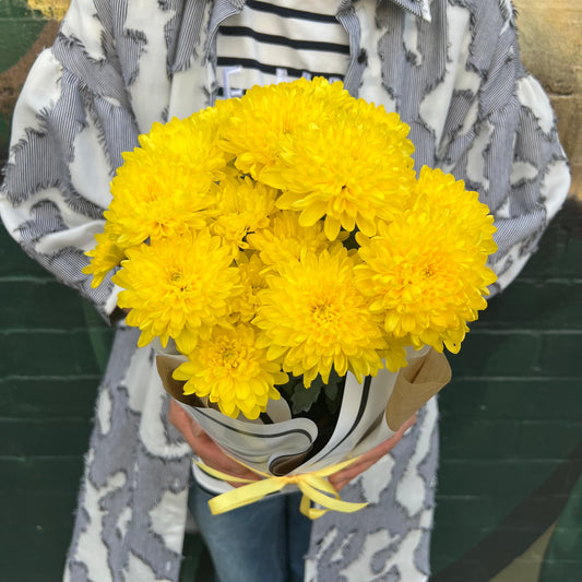 Chrysanthemum Flowering Pot(Yellow)